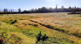 Terreno 36000 m2 cercano a Buin Zoo, para Inversión Inmobiliaria.